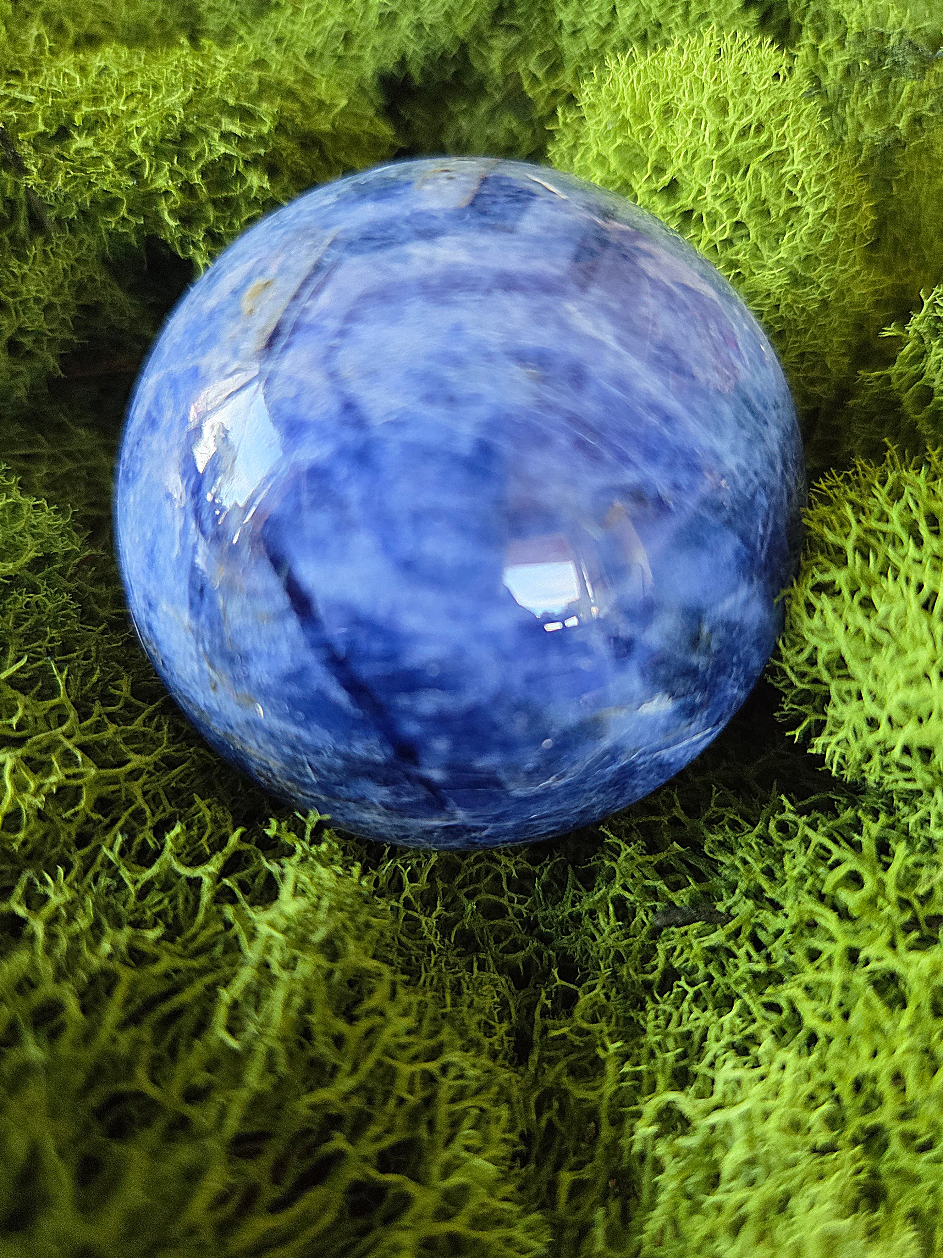 Thumbnail 17